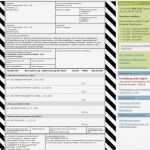 Beförderungspapier Adr Vorlage Großartig Gefahrgutversand Profi Plus Online Kaufen