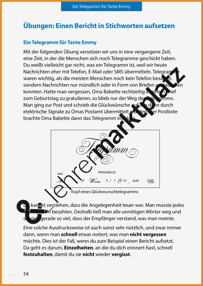 Bericht Kassenprüfung Vorlage Genial 5 Bericht Beispiel