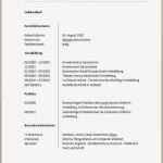 Bericht Praktikum Vorlage Süß Großzügig Kindergarten Buch Bericht Vorlage Zeitgenössisch