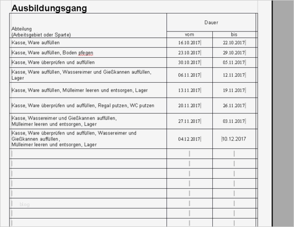 Berichtsheft Anlagenmechaniker Vorlage Beste Berichtsheft Führen