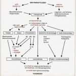 Berichtsheft Bäckereifachverkäuferin Vorlage Genial Berichtsheft Parkettleger