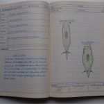 Berichtsheft Landwirt Vorlagen Erstaunlich „berichtsheft Für Gewerbliche Berufsausbildung