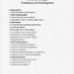Beschwerde Kindergarten Vorlage Gut Praktikumsbericht