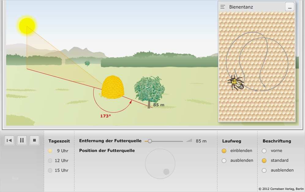 Beschwerde Kindergarten Vorlage Wunderbar Erfreut Unterricht Uhr Arbeitsblatt Zeitgenössisch Super