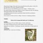 Betriebsausflug Planen Vorlage Gut Betriebsausflug