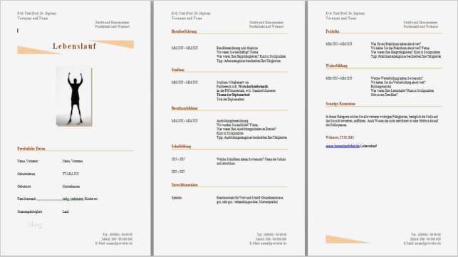 Bewerbung Altenpflegerin Vorlage Inspiration Mitarbeiter Lebenslauf Suche Bewerbung Deckblatt