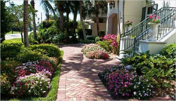 Bewerbung Bundesfreiwilligendienst Vorlage Hübsch Gallery Of Bewerbung F R Den Bundesfreiwilligen Nst Bfd