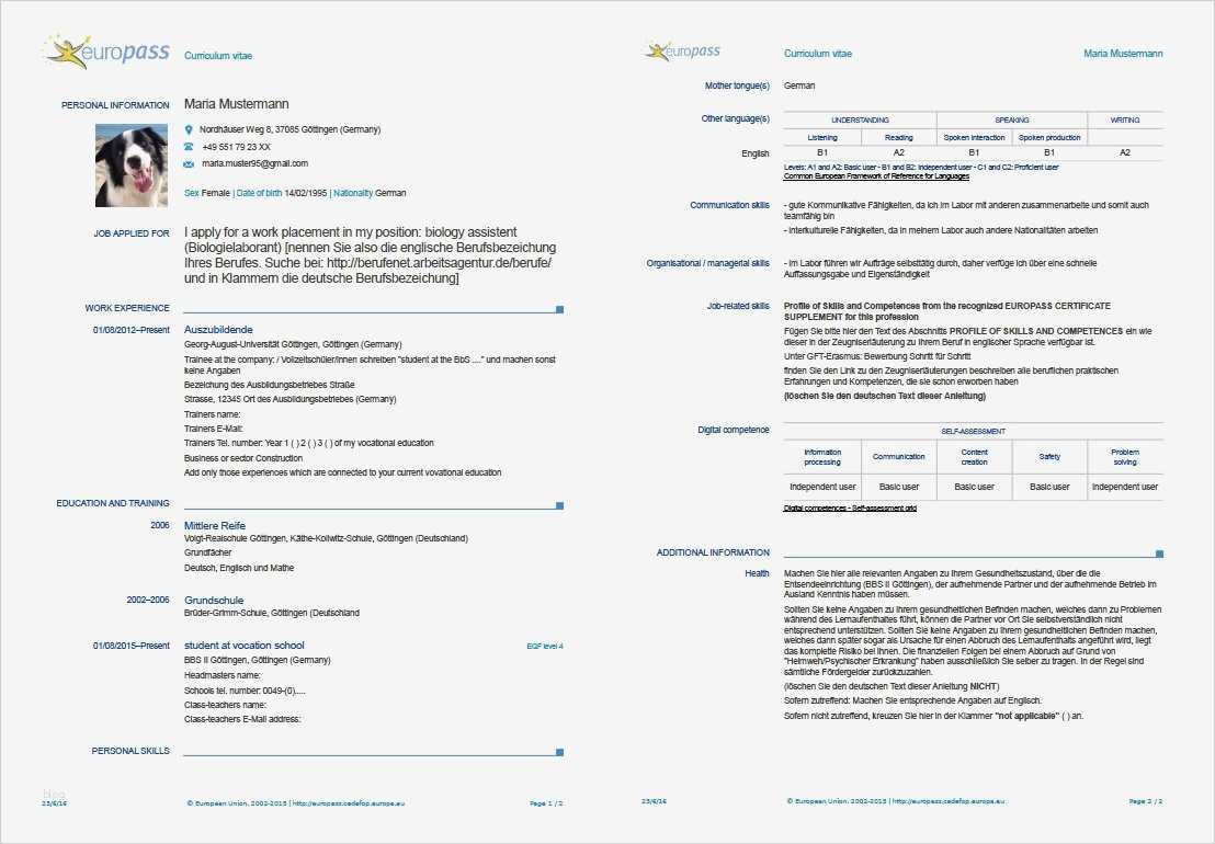 Bewerbung Bundesfreiwilligendienst Vorlage Wunderbar Bewerbung Bzw Anmeldung Gft Erasmus