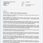 Bewerbung Für Ein Fsj Vorlage Hübsch Bewerbung Muster Fsj Die Erstaunliche Stellenanzeige