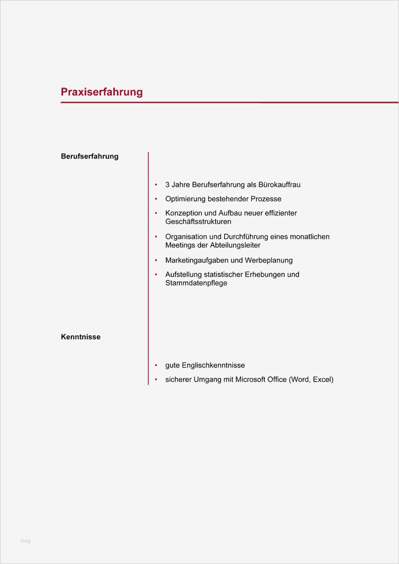 Bewerbung Für Schüleraustausch Vorlage Neu 21 Lebenslauf Vordruck Designvorlagen