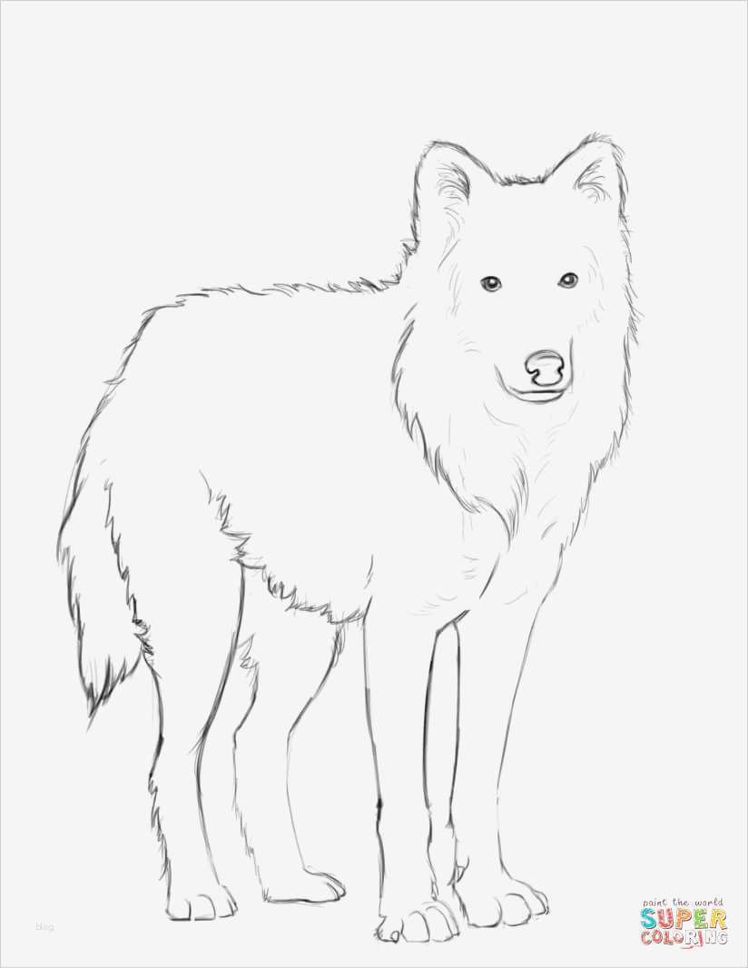 Bewerbung Kraftfahrer Vorlage Erstaunlich Gallery Of Bewerbung Techniker Azubi Praktikum sofort