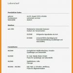 Bewerbung Kraftfahrer Vorlage Hübsch 9 Musterbrief Bewerbung