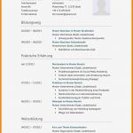 Bewerbung Kraftfahrer Vorlage Süß 14 Initativbewerbung Muster