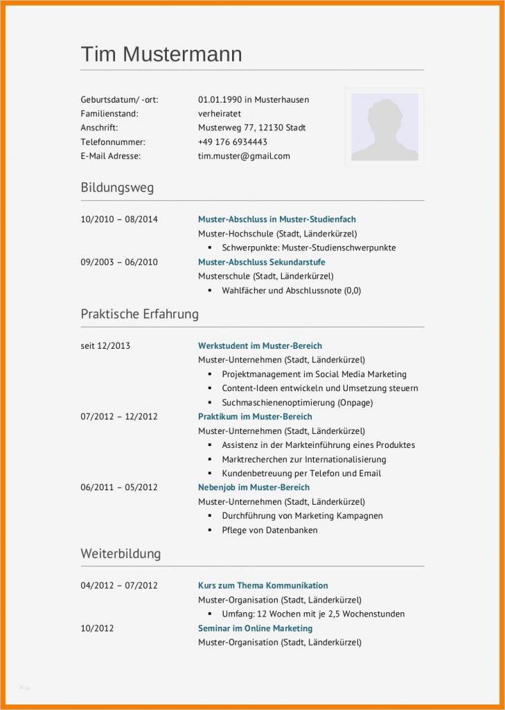 Bewerbung Kraftfahrer Vorlage Süß 14 Initativbewerbung Muster