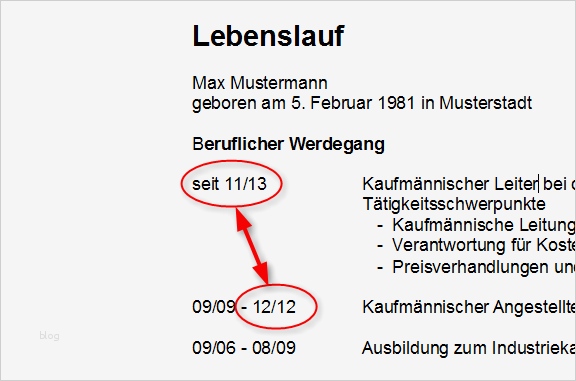 Bewerbung Reiseleiter Vorlage Neu Schön Kinderbetreuung Lebenslauf Beispiel Bilder Bilder