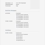 Bewerbung Schüleraustausch Vorlage Erstaunlich Bewerbungsvorlage Tabellarischer Lebenslauf