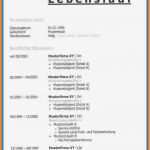 Bewerbung Vorlage Lebenslauf Bewundernswert Bewerbung Lebenslauf Vorlage Muster Aufnahme Schreiben