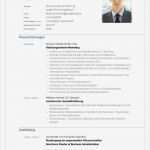 Bewerbungsmuster Word Vorlage Bewundernswert Tabellarischer Lebenslauf Vorlagen Muster Und Tipps