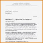 Bewerbungsschreiben Vorlage Küchenhilfe Schön 13 Bewerbung Muster Minijob