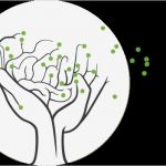 Biografiearbeit Mit Alten Menschen Vorlagen Genial Intermem