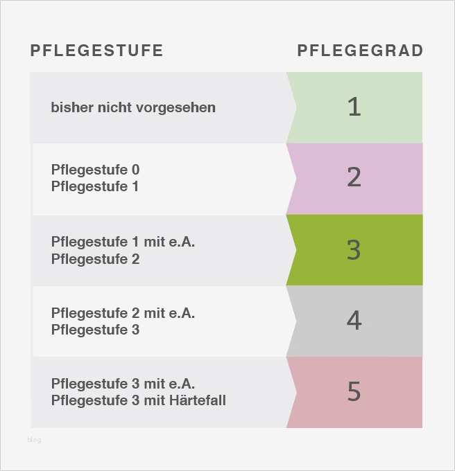 Biografiebogen Altenpflege Vorlage Bewundernswert Nett Pflegeplan Vorlagen Fotos Dokumentationsvorlage
