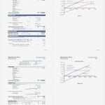 Break even Point Excel Diagramm Vorlage Süß Berühmt Break even Analyse Vorlage Fotos Entry Level