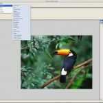 Briefmarke Vorlage Photoshop Beste Pixel Creation Suite Für Mac Download