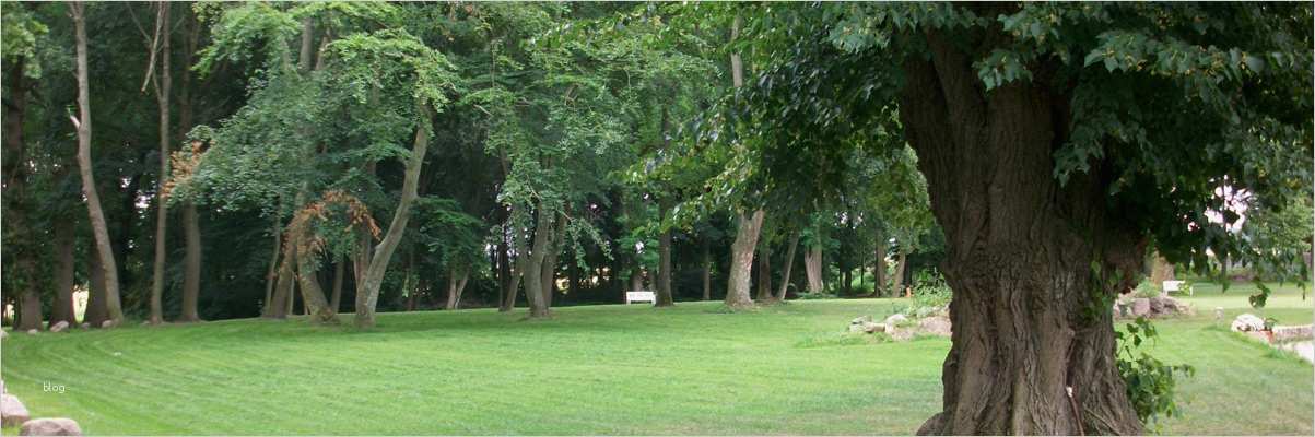 Buchung Ferienwohnung Vorlage Hübsch Herrenhaus Alt Vorwerk In Boddin Mecklenburg Vorpommern