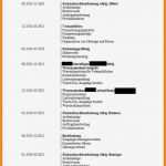 Bundeswehr Lebenslauf Vorlage Bewundernswert 13 Lebenslauf Bundeswehr