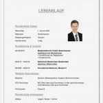 Bundeswehr Lebenslauf Vorlage Elegant Bewerbung Bundeswehr Tipps Für Einen Guten Lebenslauf Für