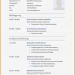 Bundeswehr Lebenslauf Vorlage Elegant Schön 33 Bundeswehr Bewerbung Vorlage Einzigartig Für