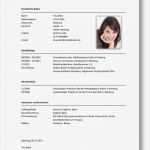 Bundeswehr Lebenslauf Vorlage Erstaunlich Tabellarischer Lebenslauf Beispiel 2