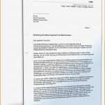 Bundeswehr Lebenslauf Vorlage Luxus 13 Bundeswehr Bewerbung