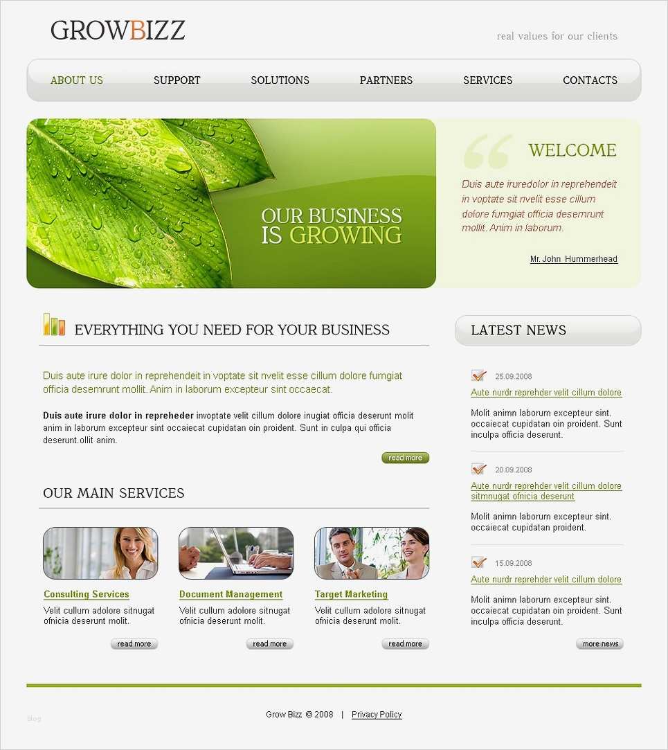 Business Homepage Vorlagen Hübsch Website Vorlage Für Business Und Dienstleistungen
