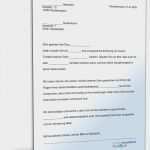 Businessplan Franchise Vorlage Fabelhaft Schön Franchise Vertrag Vorlage Zeitgenössisch Vorlagen