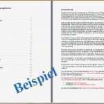 Businessplan Franchise Vorlage Schön Fein Business Case Vorlagen Kostenlos Ideen Beispiel