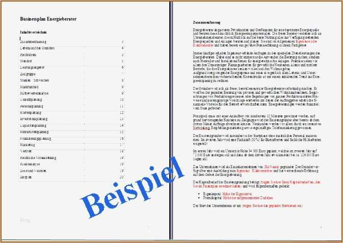 Businessplan Franchise Vorlage Schön Fein Business Case Vorlagen Kostenlos Ideen Beispiel