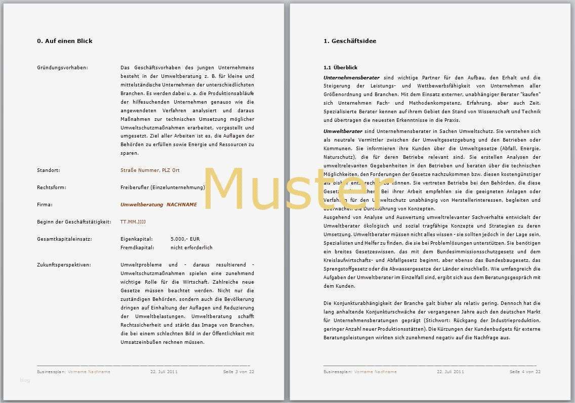 Businessplan Jobcenter Vorlage Hübsch Autovermietung Businessplan Vorlage