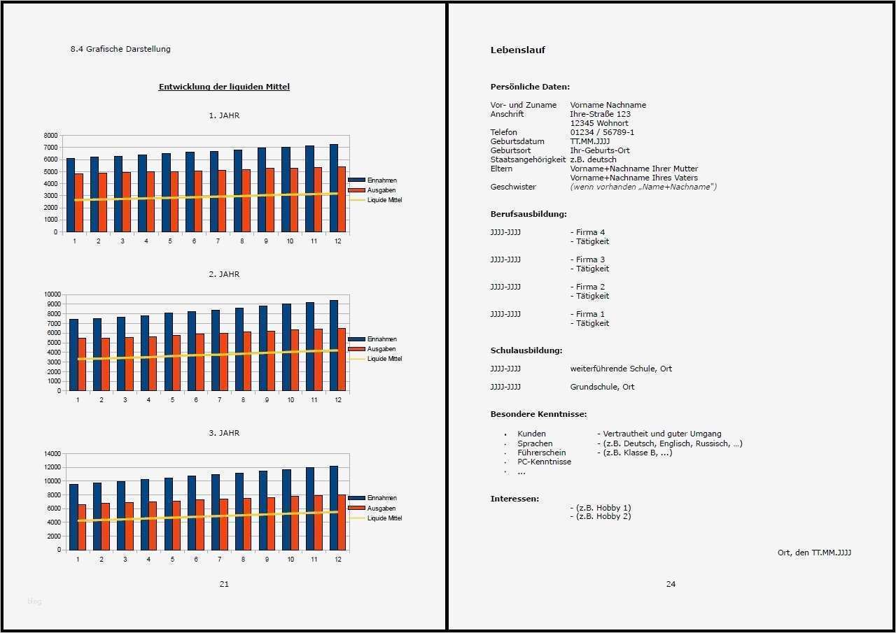 Businessplan Selbstständigkeit Vorlage Wunderbar Businessplan Vorlage Existenzgründung Hundesalon Inkl