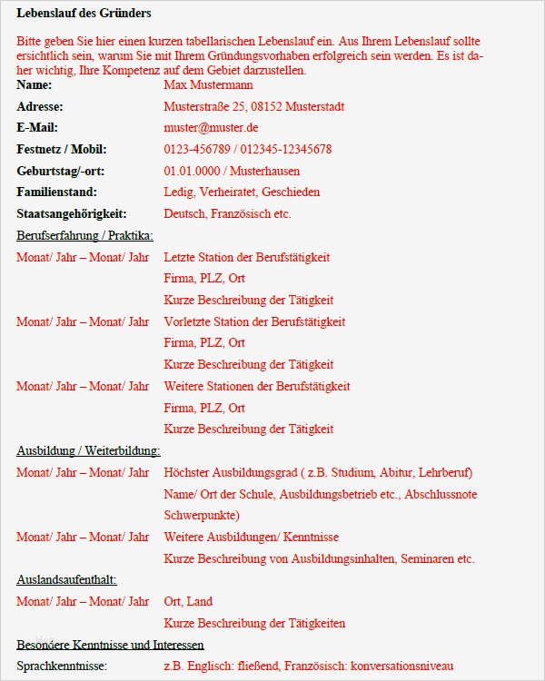 Businessplan Vorlage Freiberufler Neu Businessplan Fensterputzer sofort Download