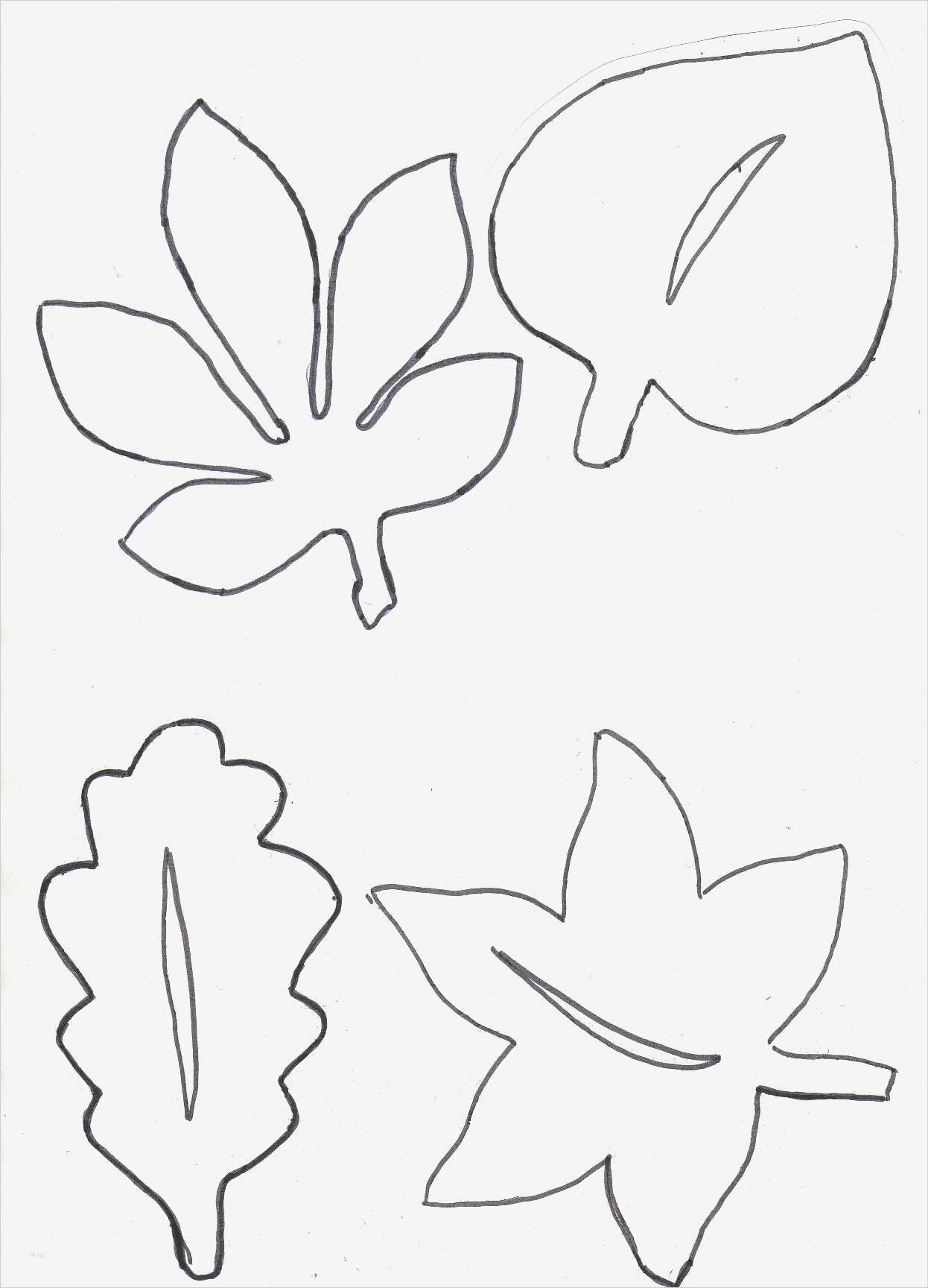 Bvb Tattoo Vorlagen Best Of 99 Mond Schablone Zum Ausdrucken Ideen