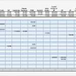 Cash Flow Vorlage Excel Angenehm Cash Flow Spreadsheet Template Excel