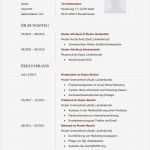 Casting Bewerbung Vorlage Best Of Muster Lebenslauf Word Muster Lebenslauf Bewerbung 2015