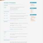 Casting Bewerbung Vorlage Bewundernswert Lebenslauf Michael Schiemer Schauspieler Seite 3