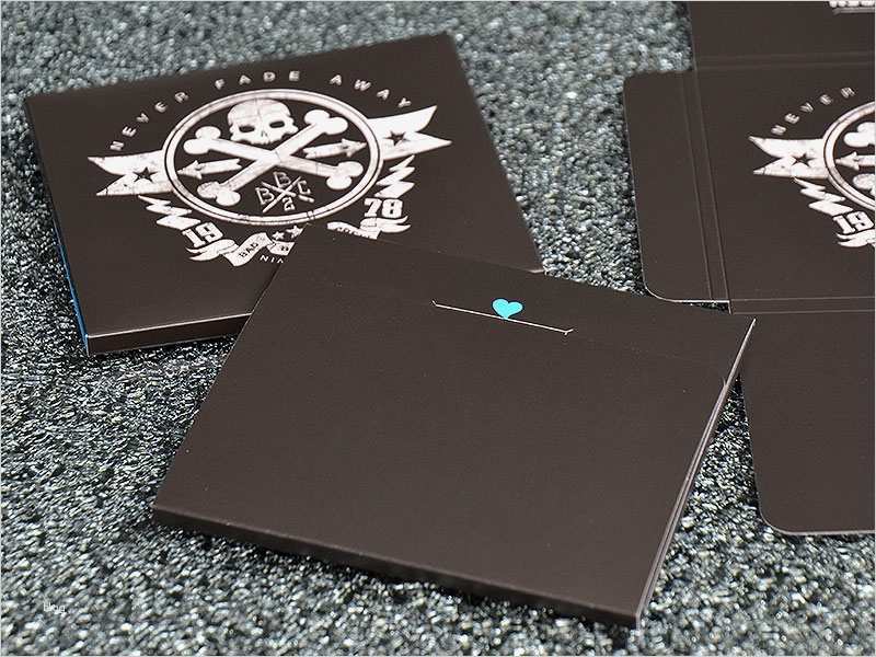 Cd Rohlinge Bedrucken Vorlage Schön Cd Hülle Mit Verschlusslasche