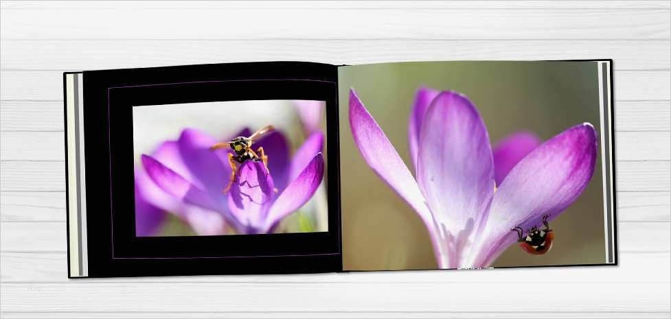 Cewe Fotobuch Vorlagen Best Of Cewe Fotobuch Erstellen