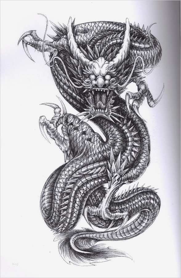 Chinesische Tattoos Vorlagen Wunderbar Tattoo Vorlagen 60 Kostenlose Tiermotive Tattoovorlagen