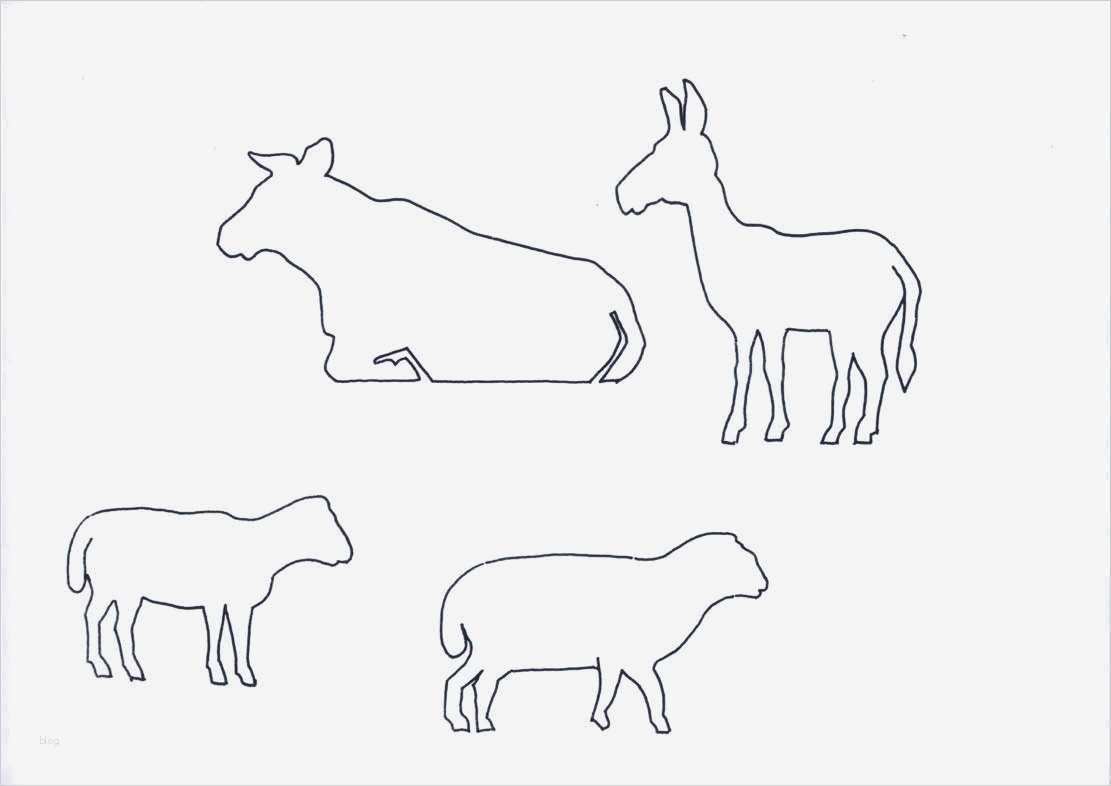 Cnc Vorlagen Weihnachten Neu Weihnachtskrippe Bauen Bauanleitungen Für Krippen