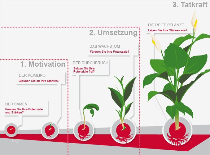 Coaching Konzept Vorlage Cool M U T Das Basler Coaching Konzept