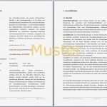 Coaching Konzept Vorlage Neu Businessplan Fahrradladen Beratung Für Existenzgründer